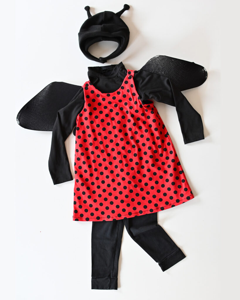 Carnevale  Costume da Coccinella DIY riutilizzabile per bimba e bimbo –  Ladulsatina