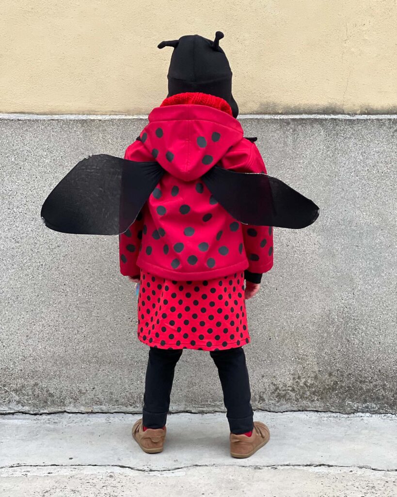 Carnevale  Costume da Coccinella DIY riutilizzabile per bimba e bimbo –  Ladulsatina